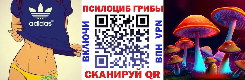 Псилоцибиновые грибы Magic Shrooms  Грязовец 